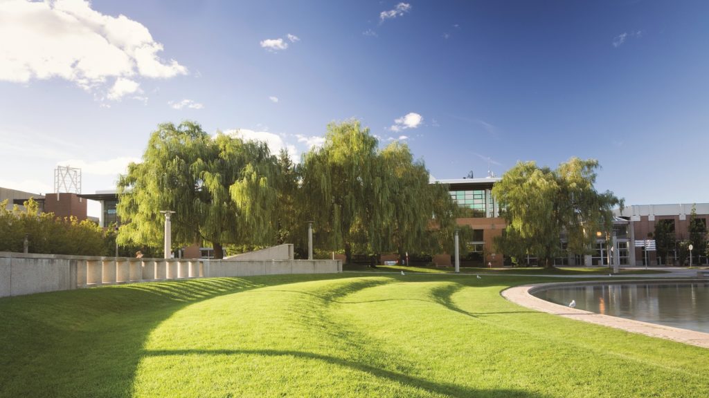 Scenic view of a green campus lawn.